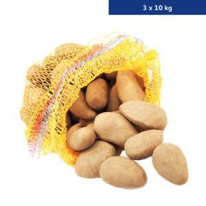 Kartoffeln BERNINA 3 x 10 kg